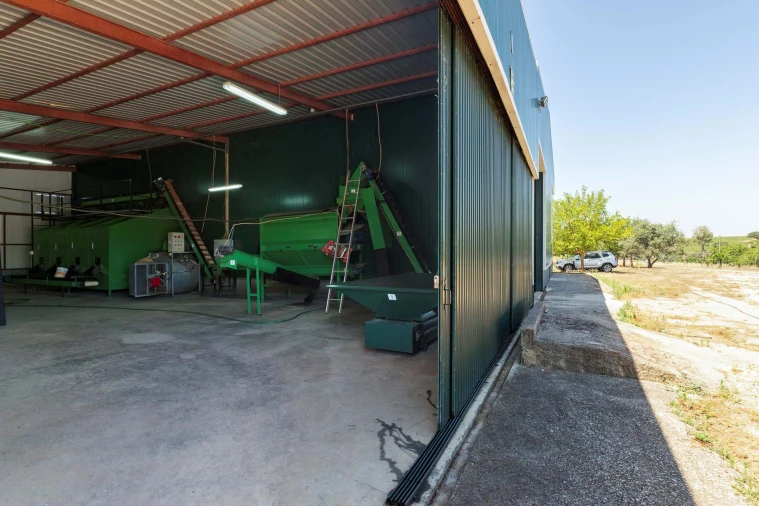 Terreno para Venda em Estremoz (Santa Maria e Santo André) Foto 9