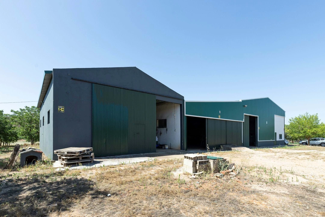 Terreno para Venda em Estremoz (Santa Maria e Santo André) Foto 8