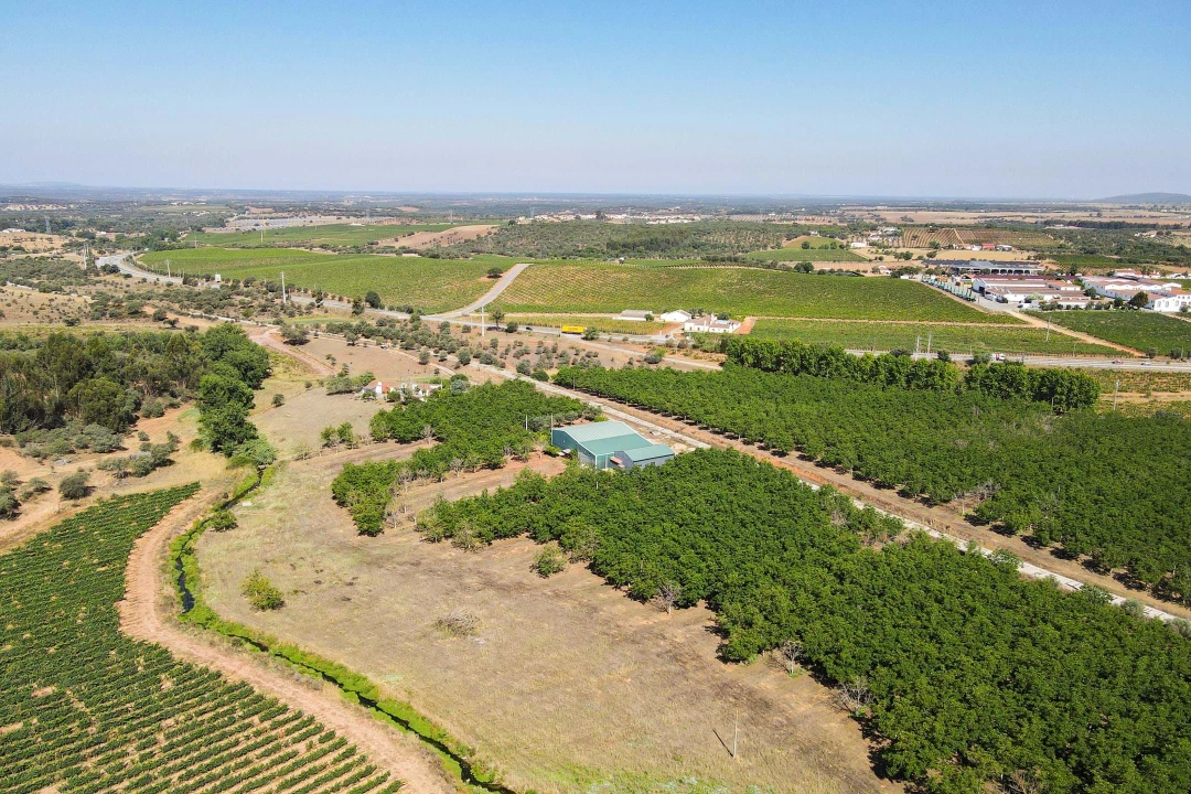 Terreno para Venda em Estremoz (Santa Maria e Santo André) Foto 4