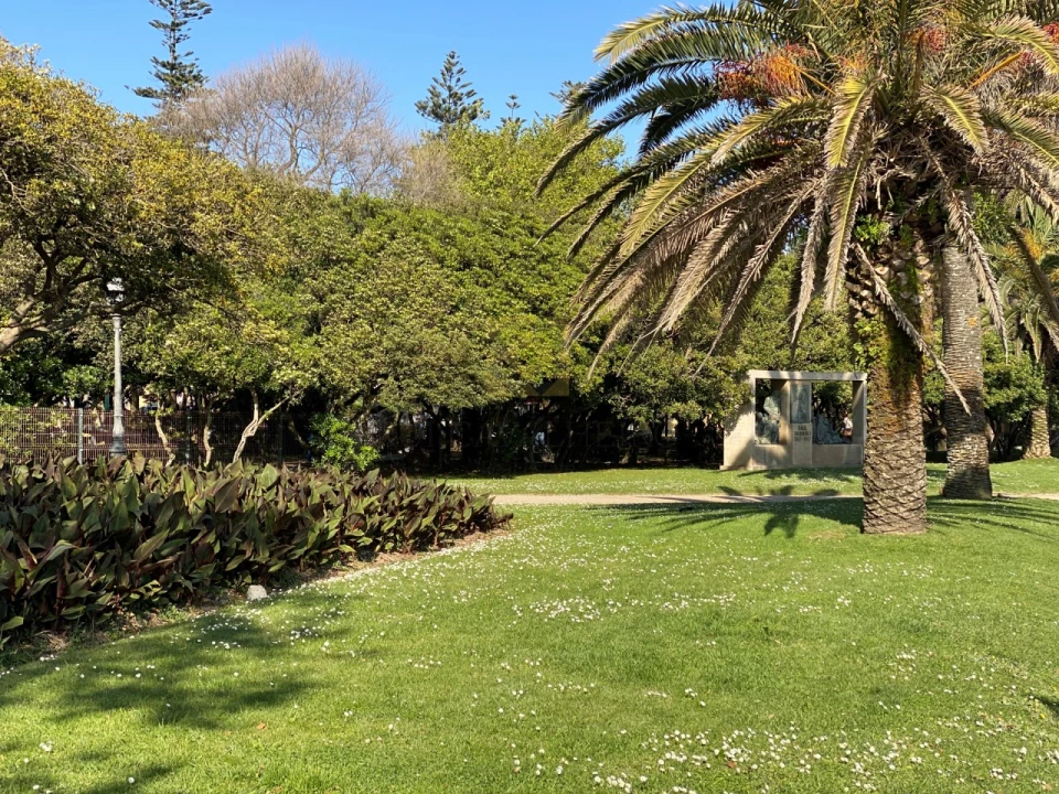 Apartamento T2 para Venda em Aldoar, Foz do Douro e Nevogilde Foto 23