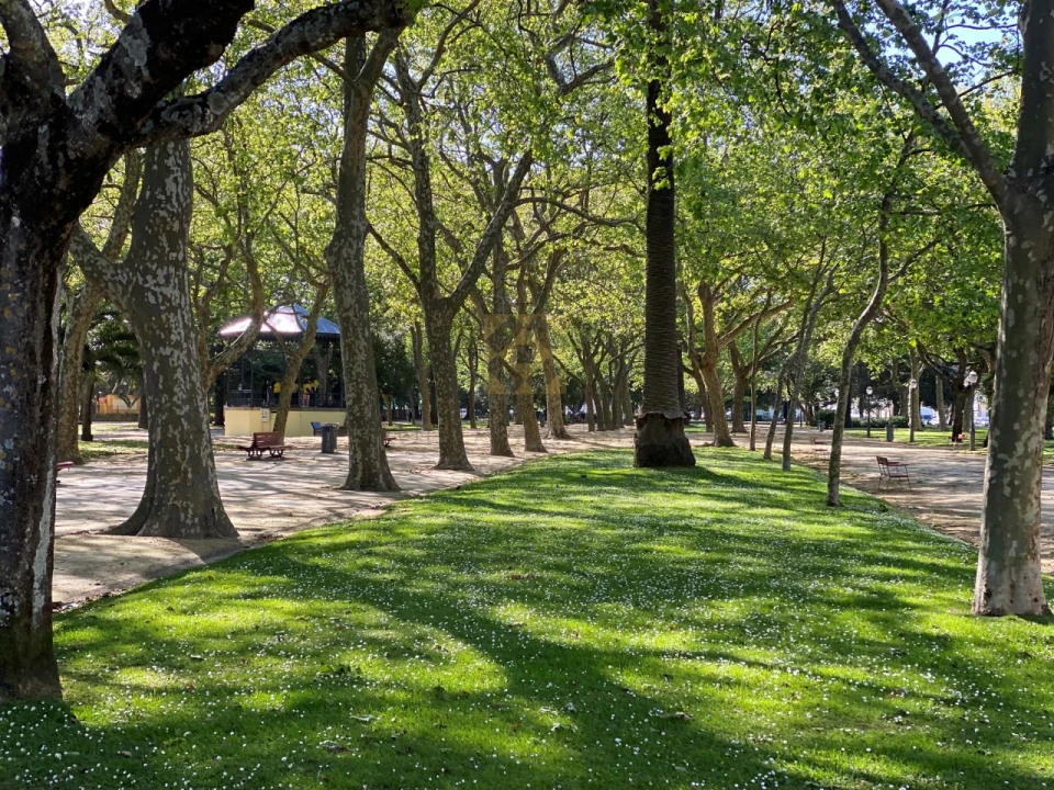 Apartamento T2 para Venda em Aldoar, Foz do Douro e Nevogilde Foto 24
