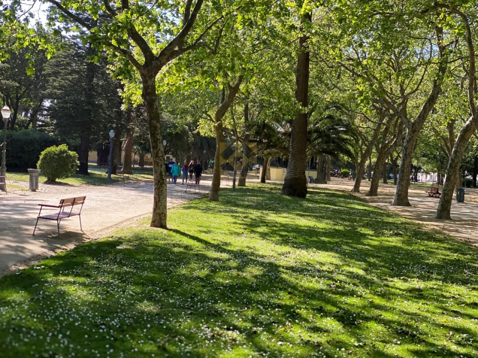 Apartamento T2 para Venda em Aldoar, Foz do Douro e Nevogilde Foto 25