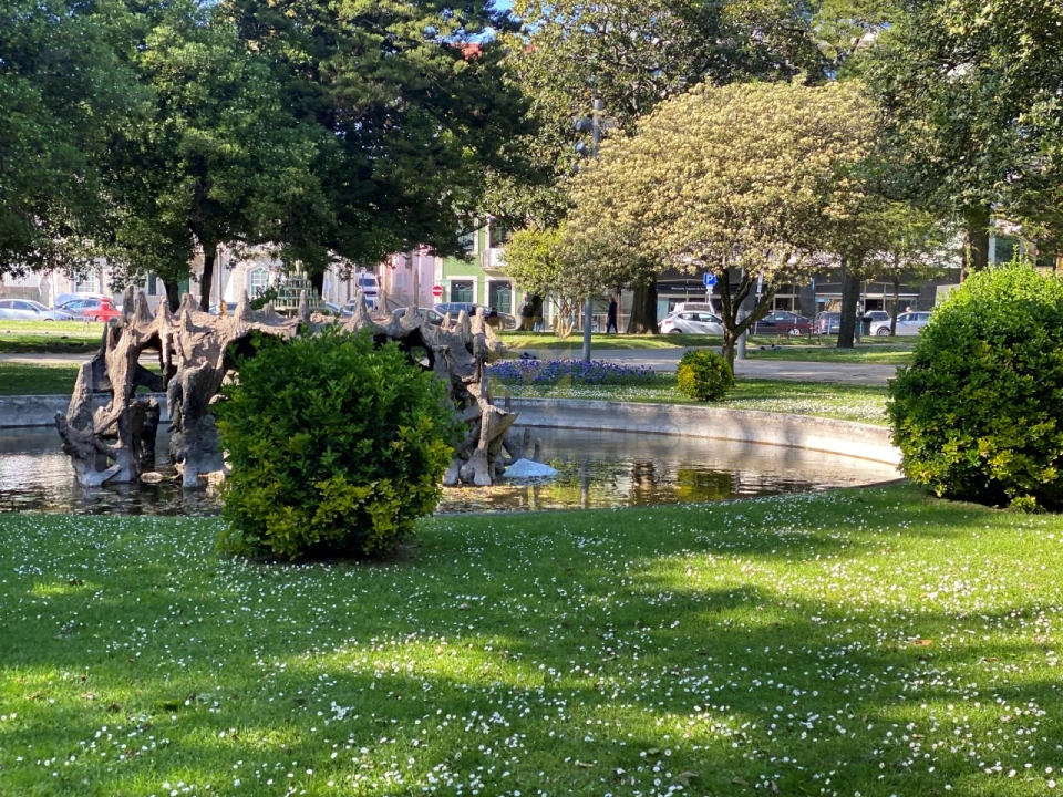Apartamento T2 para Venda em Aldoar, Foz do Douro e Nevogilde Foto 28