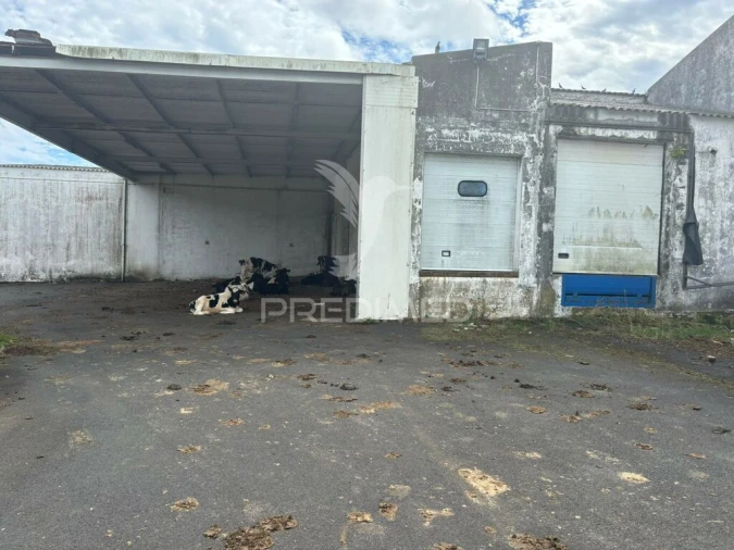 Armazém para Venda em Praia da Vitoria (Santa Cruz) Foto 14