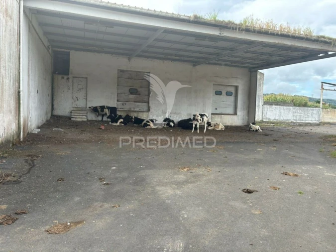 Armazém para Venda em Praia da Vitoria (Santa Cruz) Foto 17