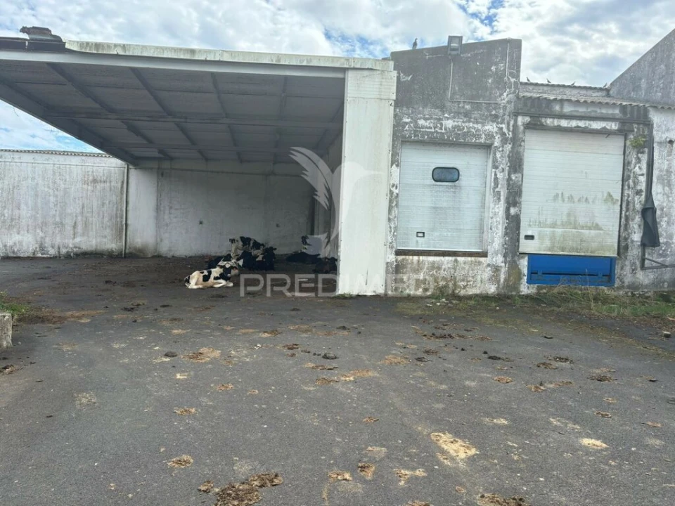 Armazém para Venda em Praia da Vitoria (Santa Cruz) Foto 6