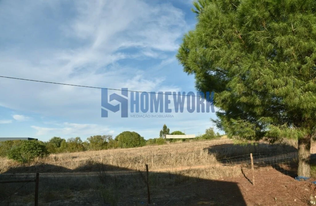 Quinta T2 para Venda em Ferreira do Alentejo e Canhestros Foto 27