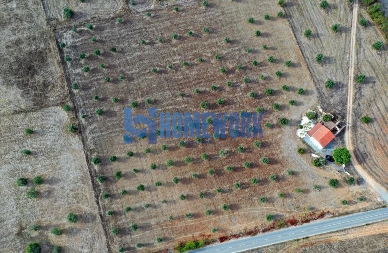 Quinta T2 para Venda em Ferreira do Alentejo e Canhestros Foto 8