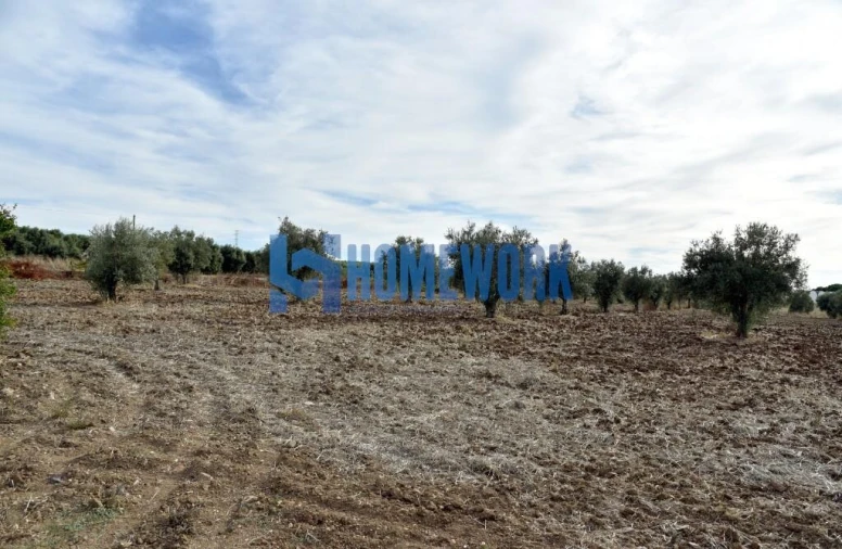 Quinta T2 para Venda em Ferreira do Alentejo e Canhestros Foto 13