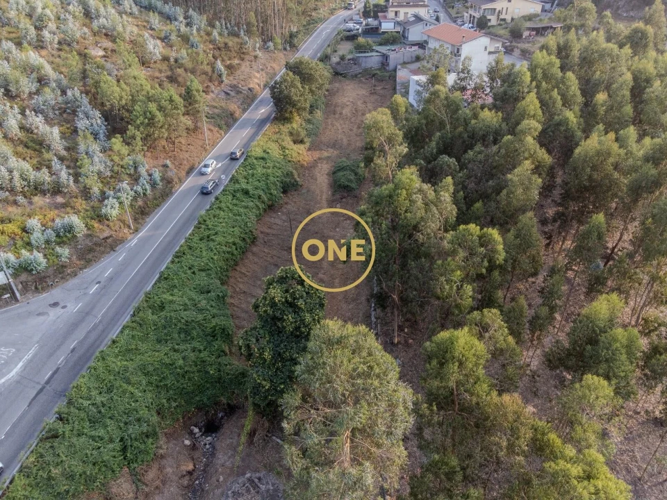 Terreno para Venda em Oliveira (Santa Maria) Foto 3