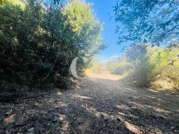 Moradia T1 para Venda em Figueiró dos Vinhos e Bairradas