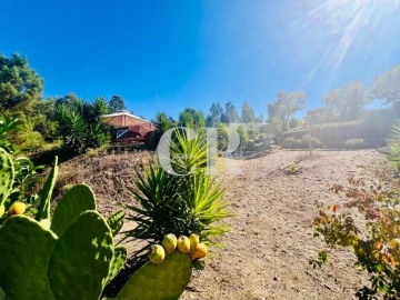Moradia T1 para Venda em Figueiró dos Vinhos e Bairradas