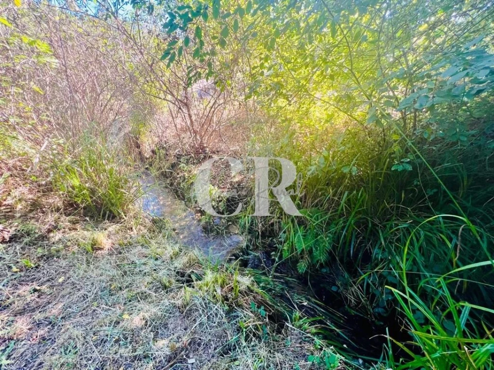 Moradia T1 para Venda em Figueiró dos Vinhos e Bairradas Foto 59