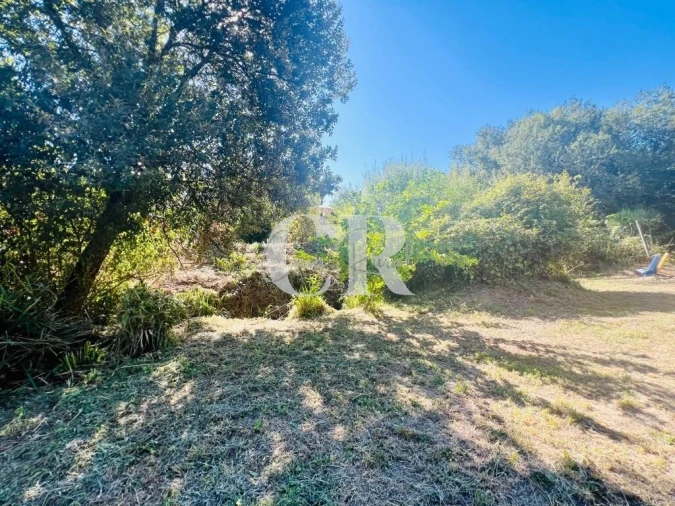 Moradia T1 para Venda em Figueiró dos Vinhos e Bairradas Foto 53