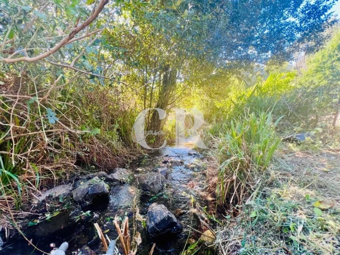 Moradia T1 para Venda em Figueiró dos Vinhos e Bairradas Foto 51