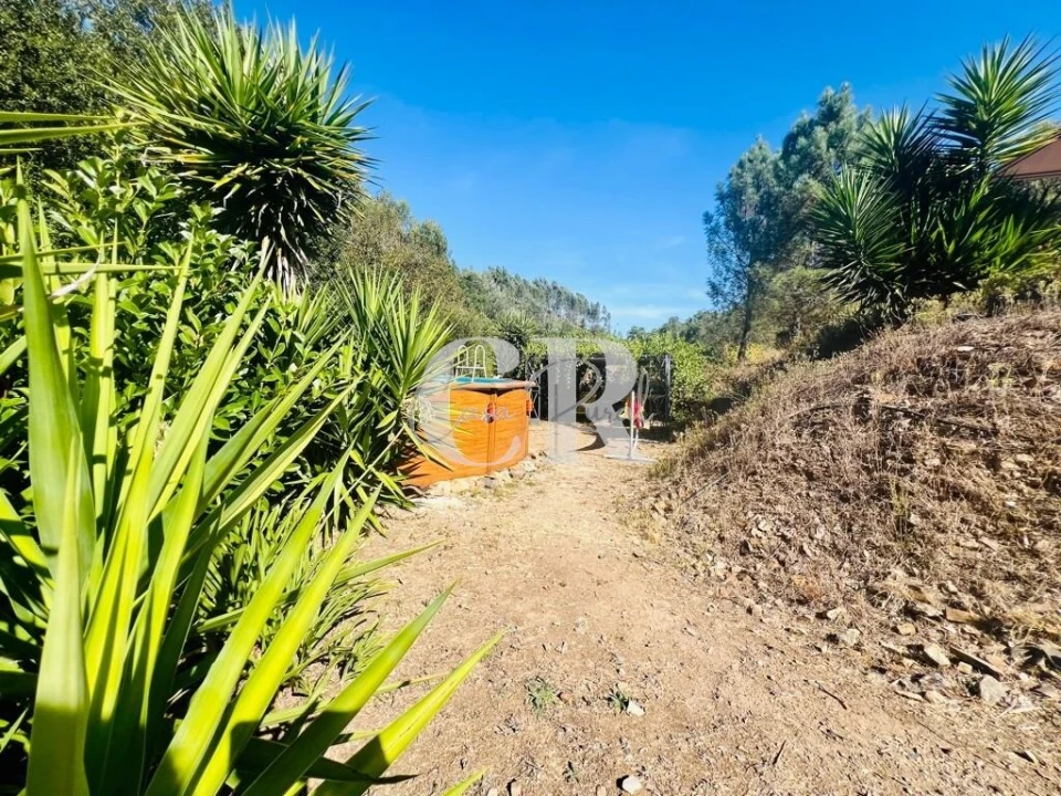 Moradia T1 para Venda em Figueiró dos Vinhos e Bairradas Foto 44