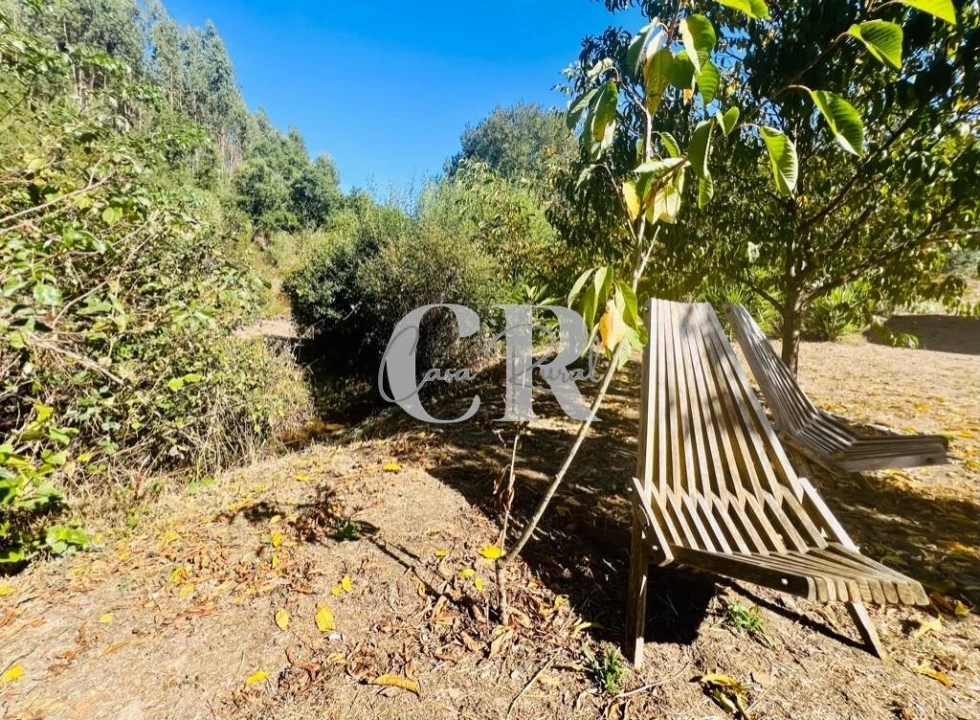 Moradia T1 para Venda em Figueiró dos Vinhos e Bairradas Foto 66