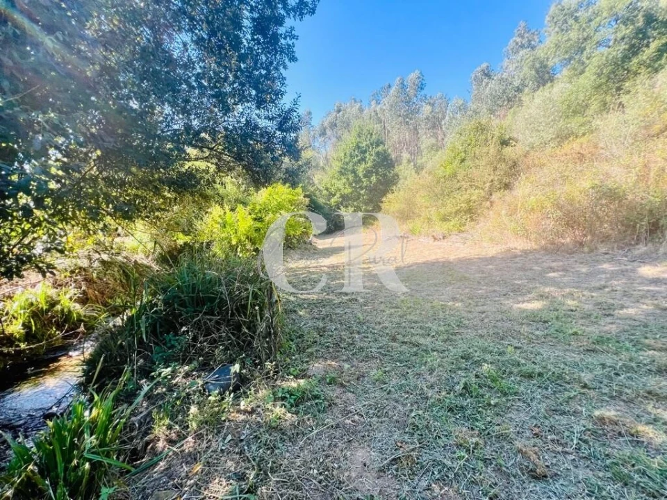 Moradia T1 para Venda em Figueiró dos Vinhos e Bairradas Foto 52