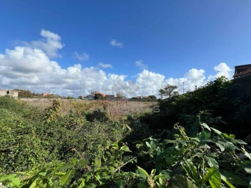 Terreno para Venda em Cacia