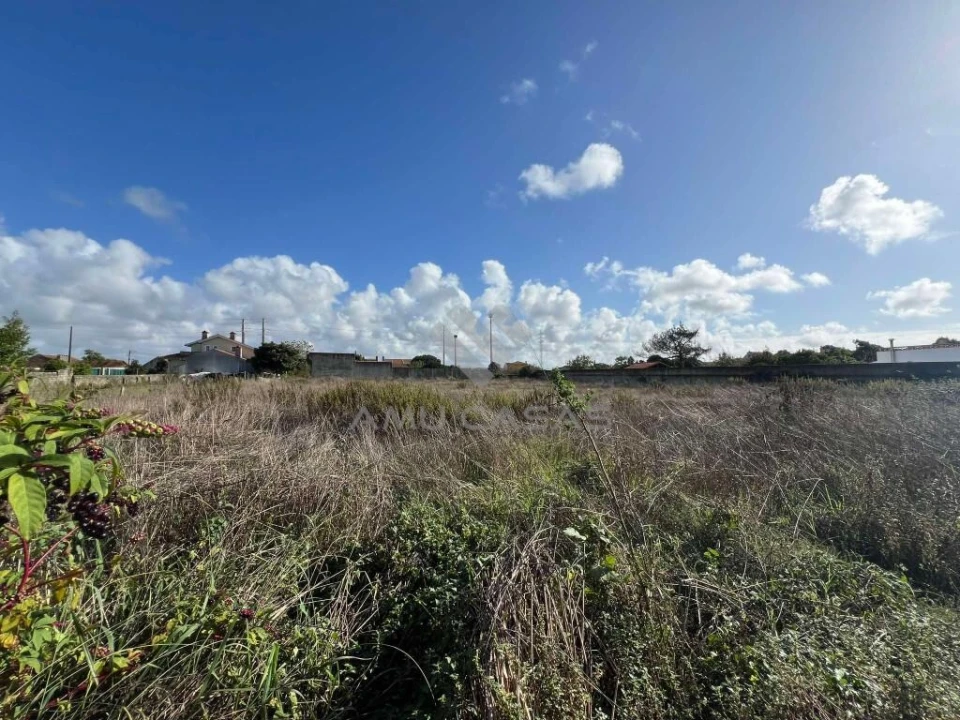 Terreno para Venda em Cacia Foto 3