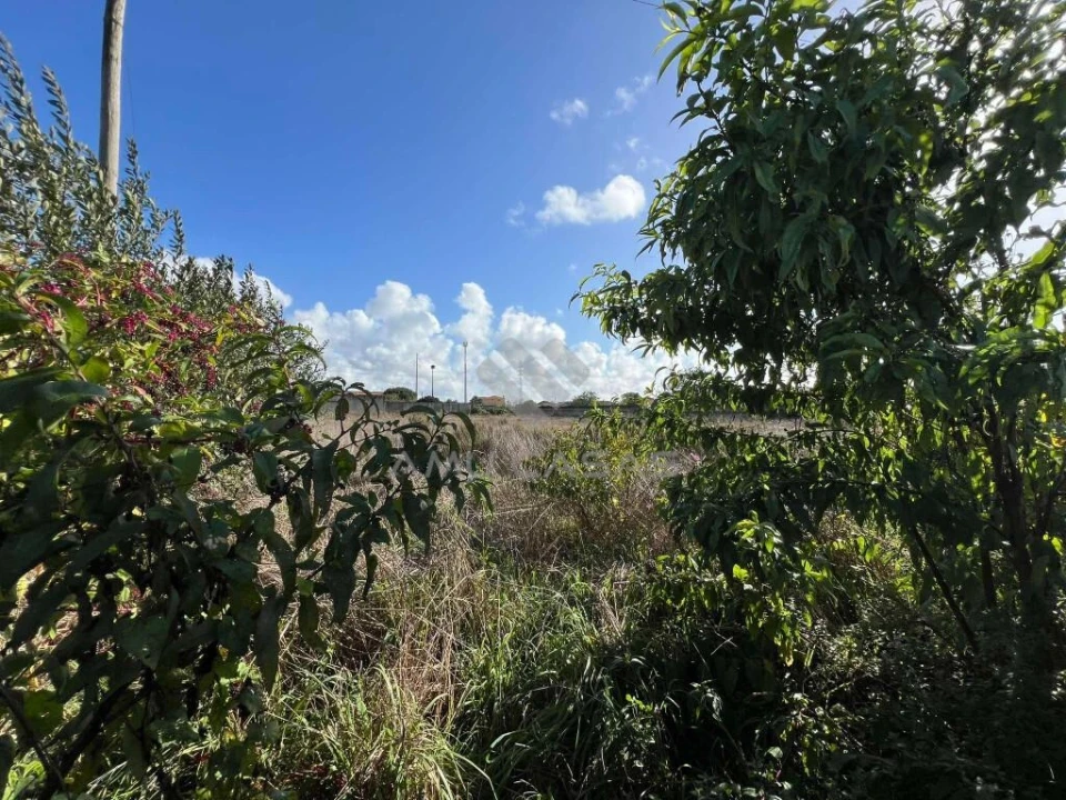 Terreno para Venda em Cacia Foto 4