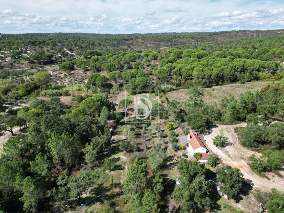 Quinta T2 para Venda em Montargil Foto 55