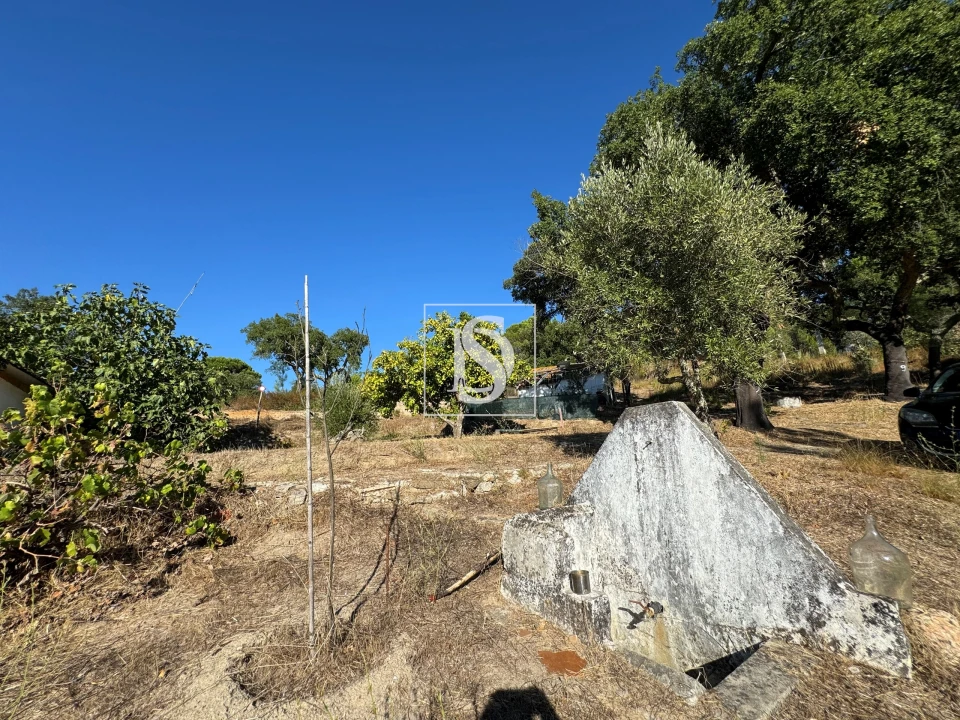 Quinta T2 para Venda em Montargil Foto 48