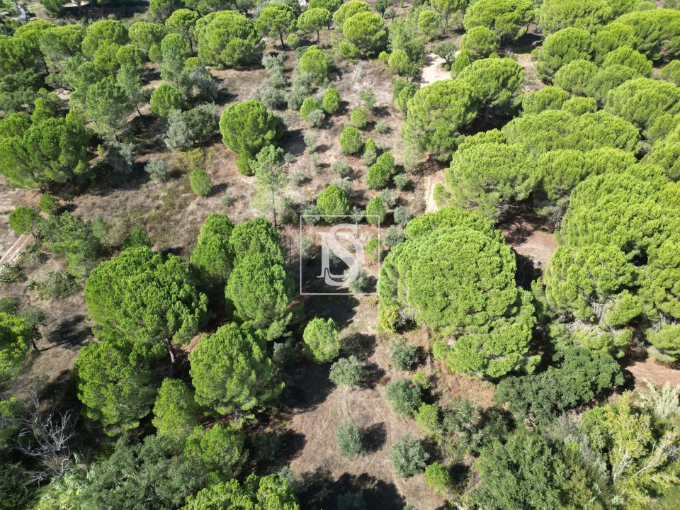 Quinta T2 para Venda em Montargil Foto 57