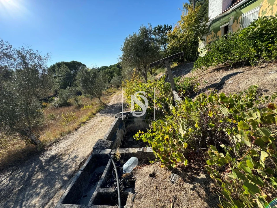 Quinta T2 para Venda em Montargil Foto 50