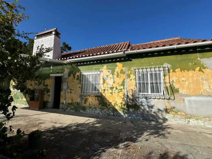 Quinta T2 para Venda em Montargil Foto 45