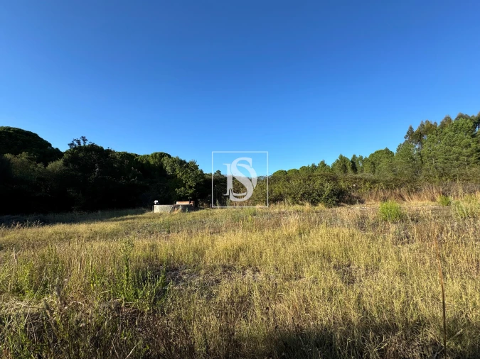 Quinta T2 para Venda em Montargil Foto 30