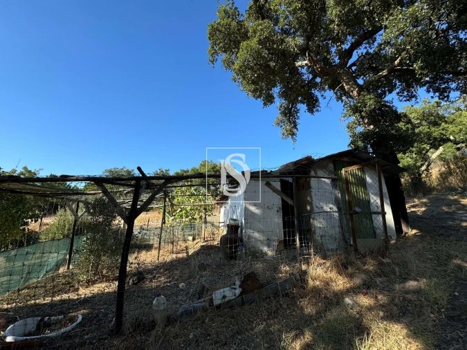 Quinta T2 para Venda em Montargil Foto 37