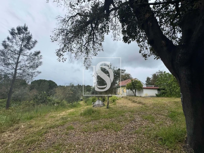 Quinta T2 para Venda em Montargil Foto 60