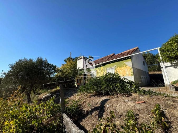 Quinta T2 para Venda em Montargil Foto 3