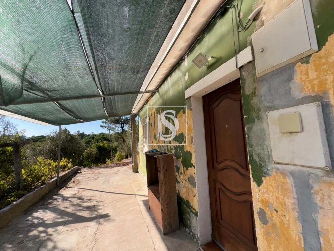 Quinta T2 para Venda em Montargil Foto 41