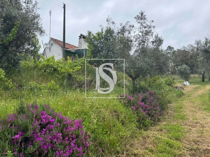 Quinta T2 para Venda em Montargil Foto 65