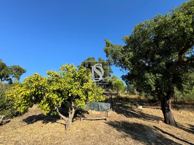 Quinta T2 para Venda em Montargil Foto 38