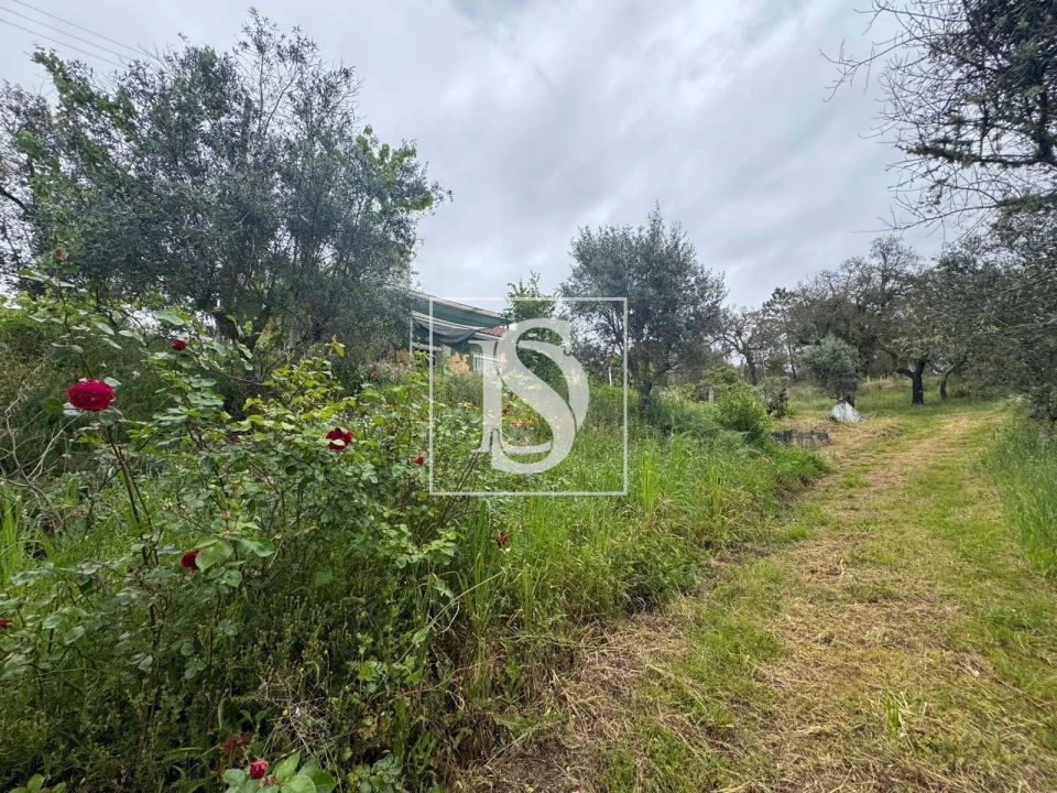 Quinta T2 para Venda em Montargil Foto 64