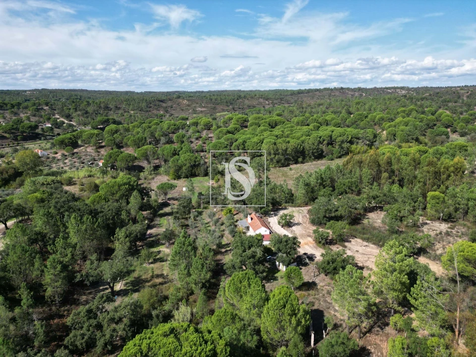 Quinta T2 para Venda em Montargil Foto 54