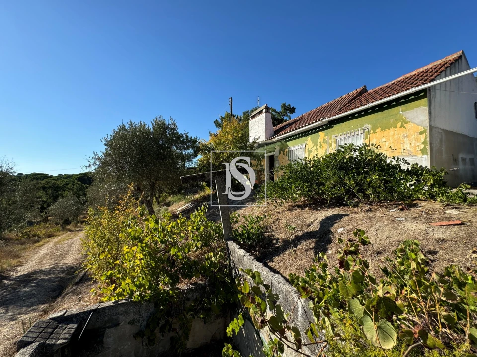 Quinta T2 para Venda em Montargil Foto 49