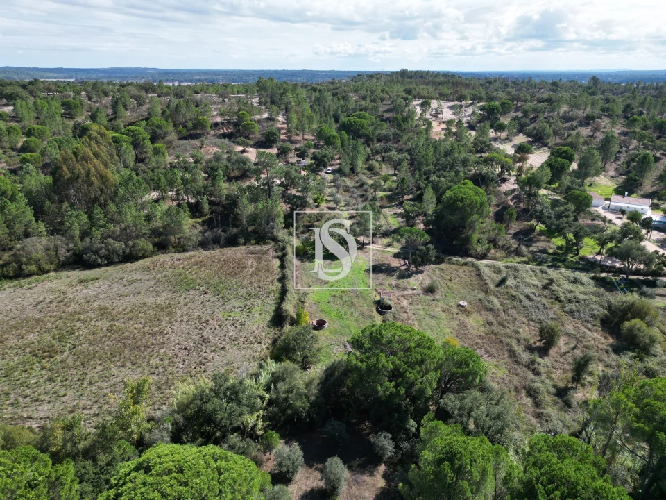 Quinta T2 para Venda em Montargil Foto 58