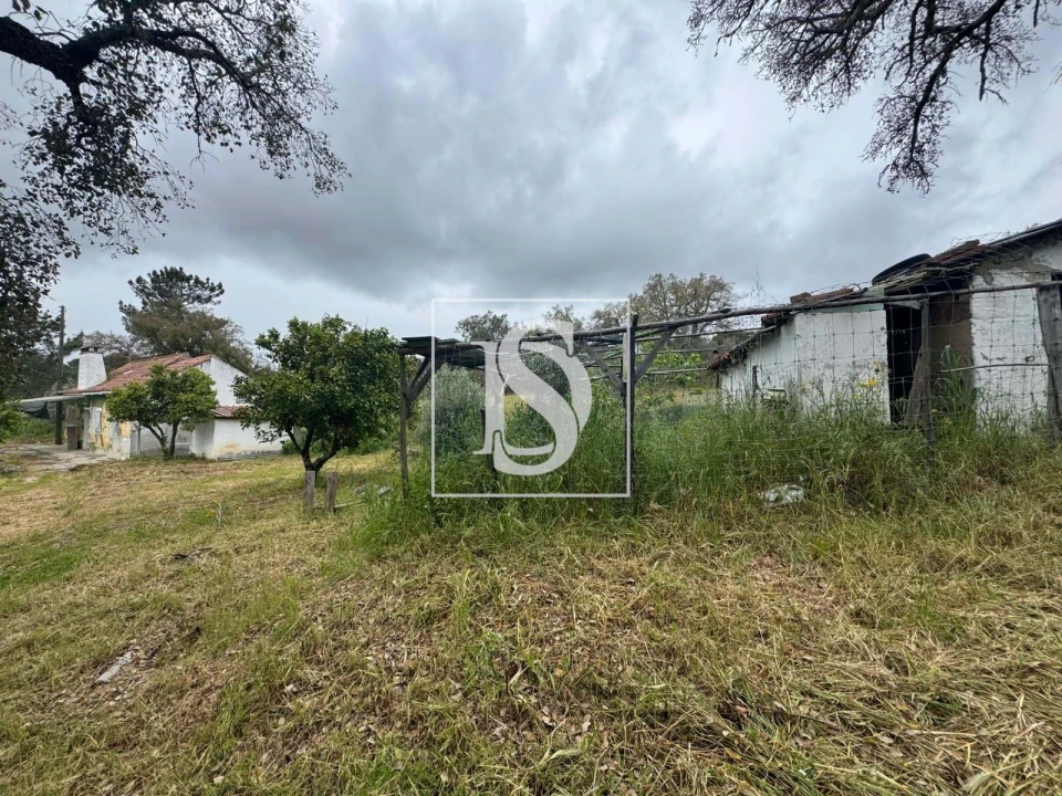 Quinta T2 para Venda em Montargil Foto 62