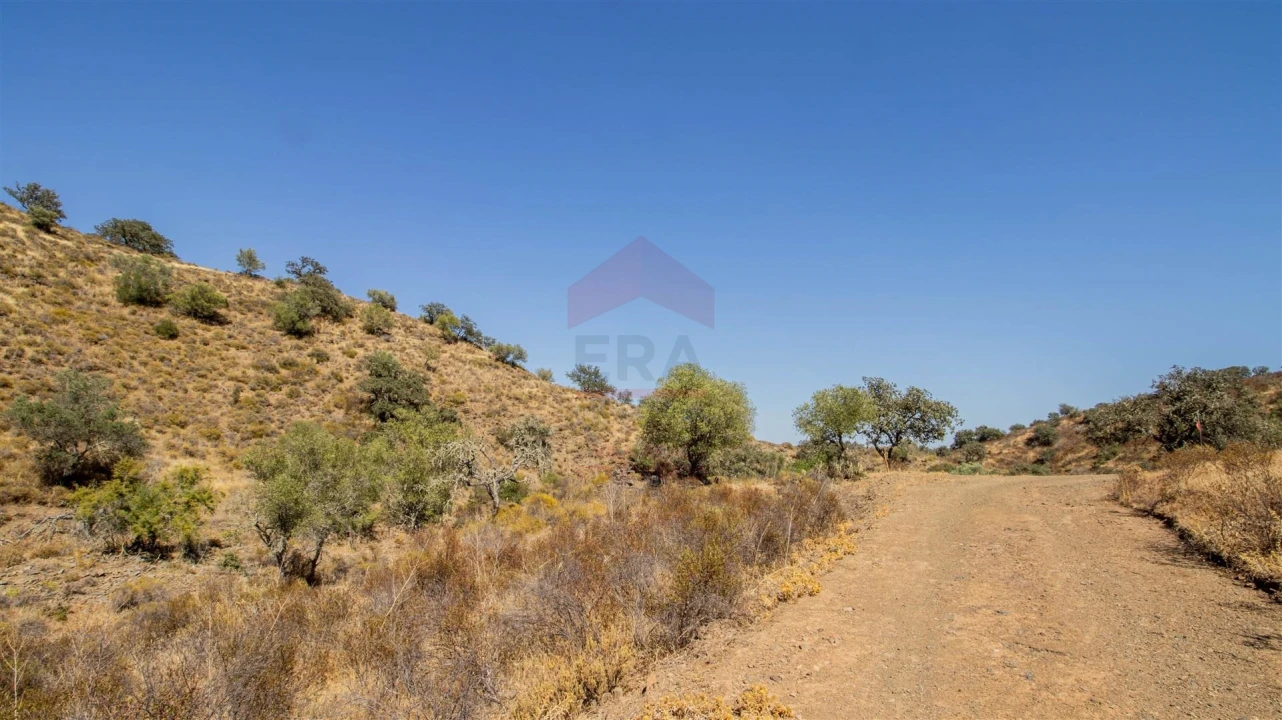 Terreno Agricola ou Rústico para Venda em Odeleite Foto 3