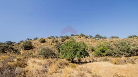 Terreno Agricola ou Rústico para Venda em Odeleite