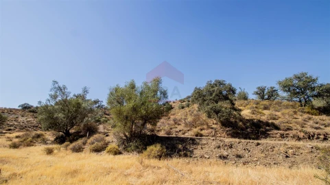 Terreno Agricola ou Rústico para Venda em Odeleite