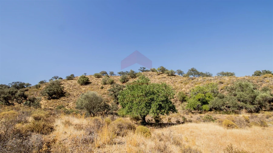 Terreno Agricola ou Rústico para Venda em Odeleite Foto 5