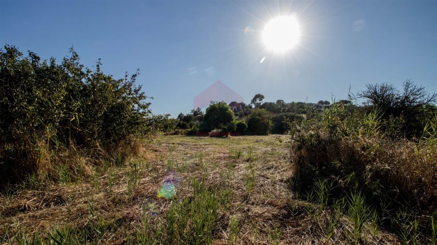 Terreno Agricola ou Rústico para Venda em Odeleite Foto 5