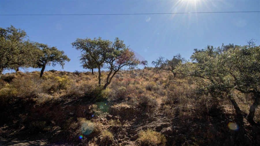 Terreno Agricola ou Rústico para Venda em Odeleite Foto 6