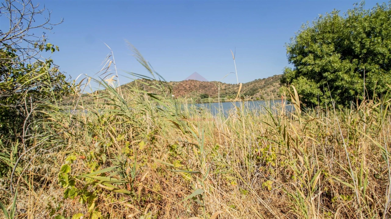 Terreno Agricola ou Rústico para Venda em Odeleite Foto 6
