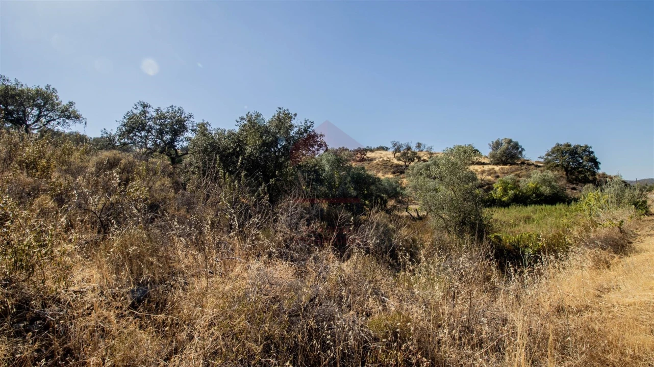 Terreno Agricola ou Rústico para Venda em Odeleite Foto 2
